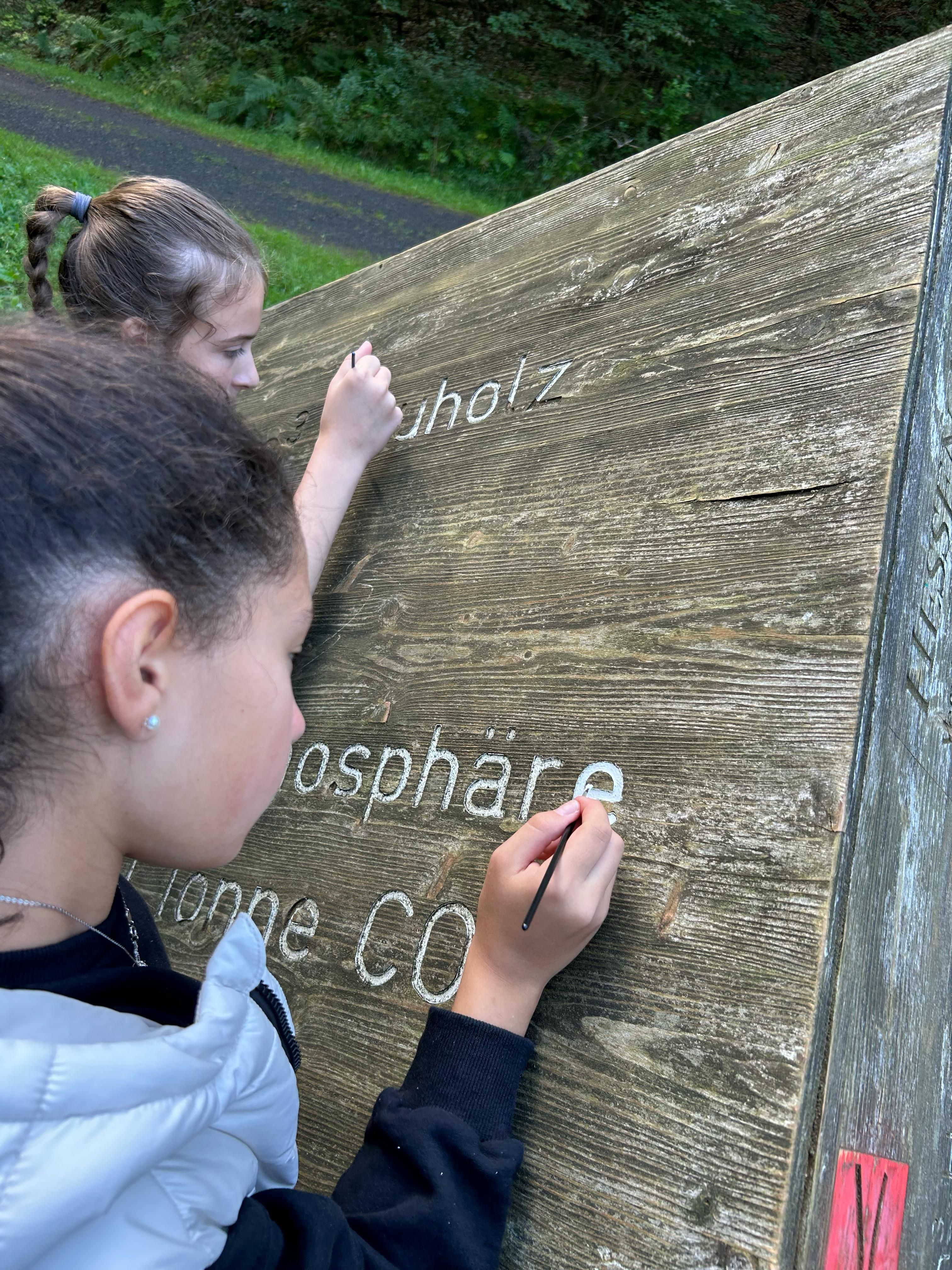 Kooperation zur Pflege des CO2-Lehrpfads am Rothaarsteig gestartet