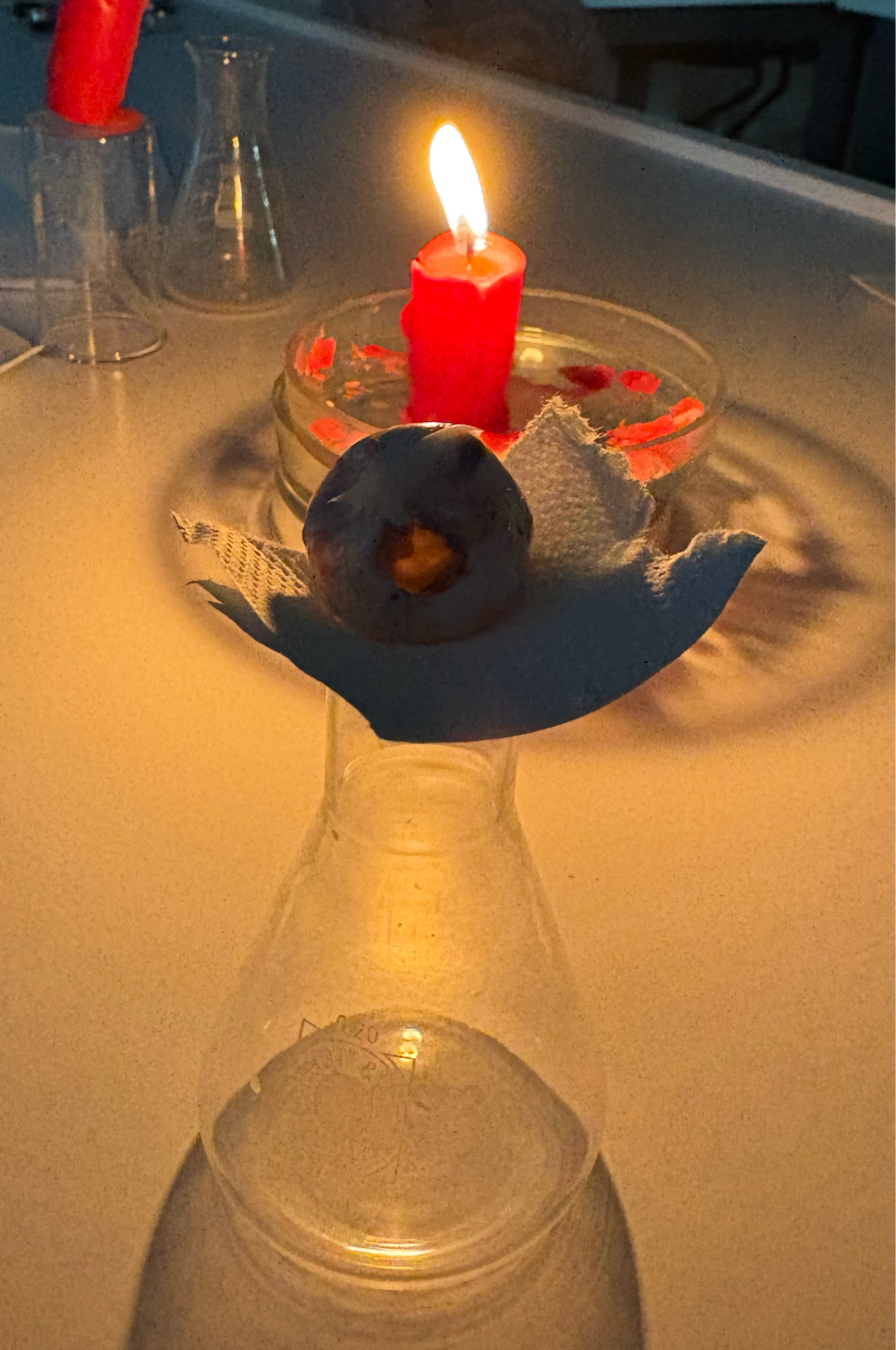 Zusammenhänge zwischen Strukturen und Funktionen praktisch erfahren